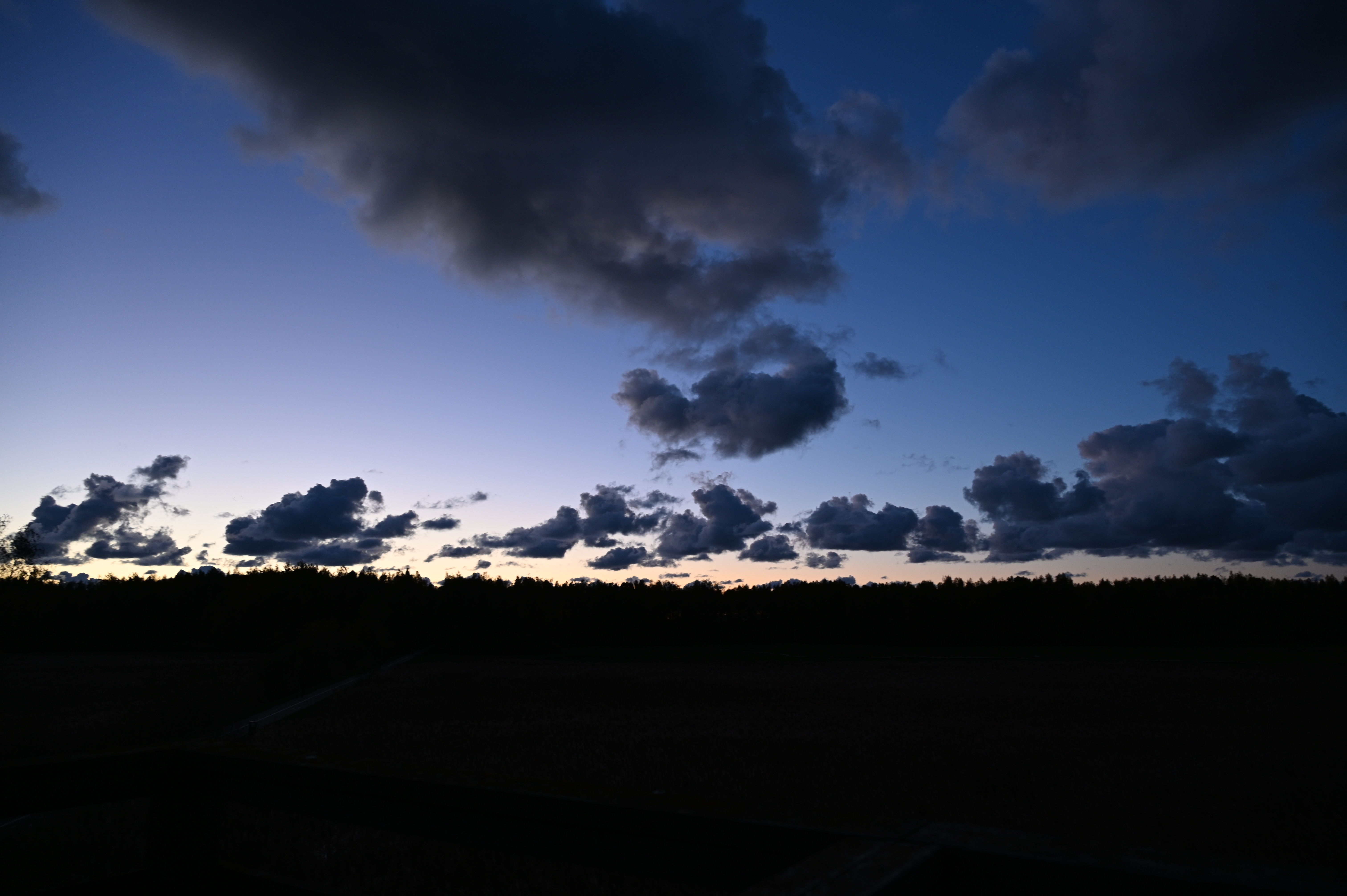 2025/10/18 - walk/DSC_0623.JPG